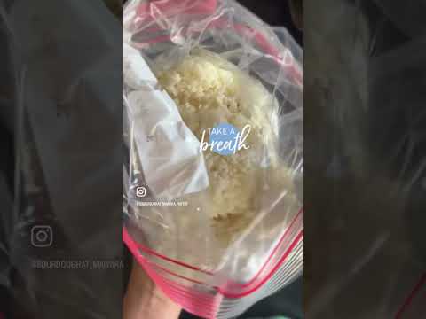 海外での麹作り3日目　KOJI making in abroad 3rd Day #koji #麹　#海外在住 #香港在住 #発酵 #fermentedfoods