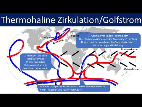 Thermohaline Circulation/Gulf Stream/Global Conveyor Belt [Geography, Middle and High School]
