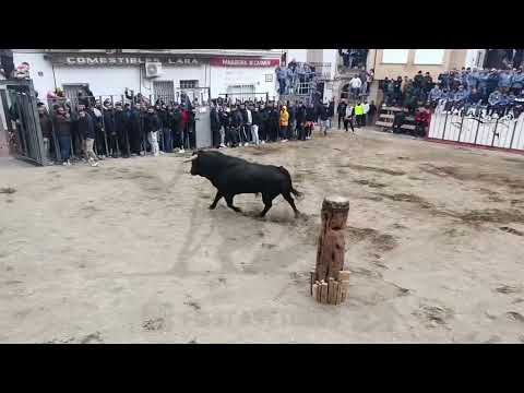 Salida y Detalles del Cerril del Torero en Castellnovo
