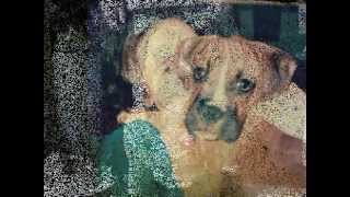 I Won&#39;t Hold You Down