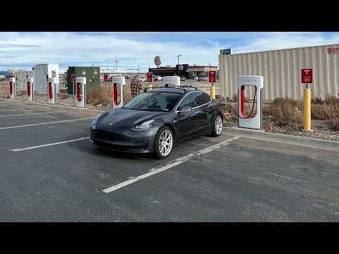 Tesla Model 3 Road Trip Dog Rescue Series 1! Transporting Thor To Salt Lake City