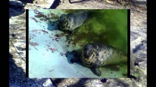 Presence of God (Soulsavers )- Dave Gahan.