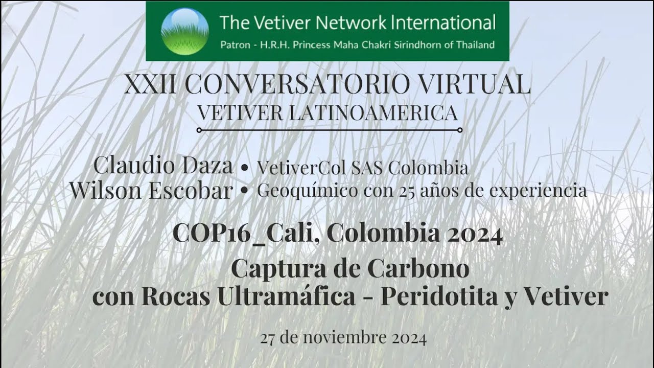 𝐂𝐎𝐍𝐕𝐄𝐑𝐒𝐀𝐓𝐎𝐑𝐈𝐎 𝐕𝐈𝐑𝐓𝐔𝐀𝐋 𝐕𝐄𝐓𝐈𝐕𝐄𝐑 #22 Nov 2024 - Carbon capture w/ultramafic rock (peridotite) & vetiver