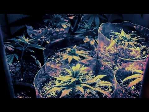 Lucariello - feat. Dope One - Proibito Ambito Video Ufficiale (album CMNF8)