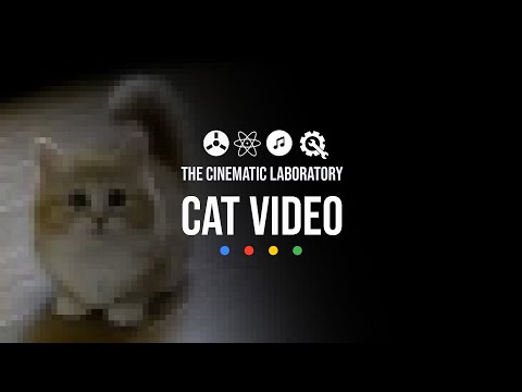 The Cinematic Laboratory - Would you like to see a Cat Video?