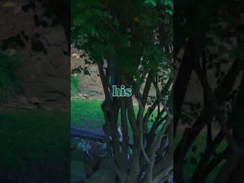 #christianrapper #music