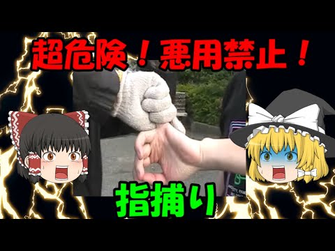 最強の関節技は指関節技(｀･ω･´)