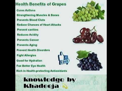 #benifits #benifitsofgrapes#💫#knoeledgebykhadeeja💫