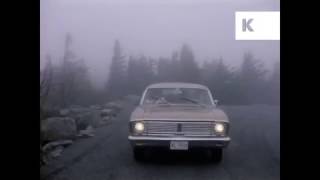 Great Speckled Bird - Calgary (music video)