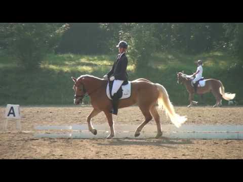 Magdalena Muhr - Novalis 3 - Hafi E - Stadl-Paura 2016