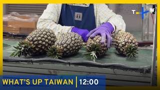 Taiwan Pineapples Clear Final US Hurdles - Oct. 15, 2026｜TaiwanPlus News