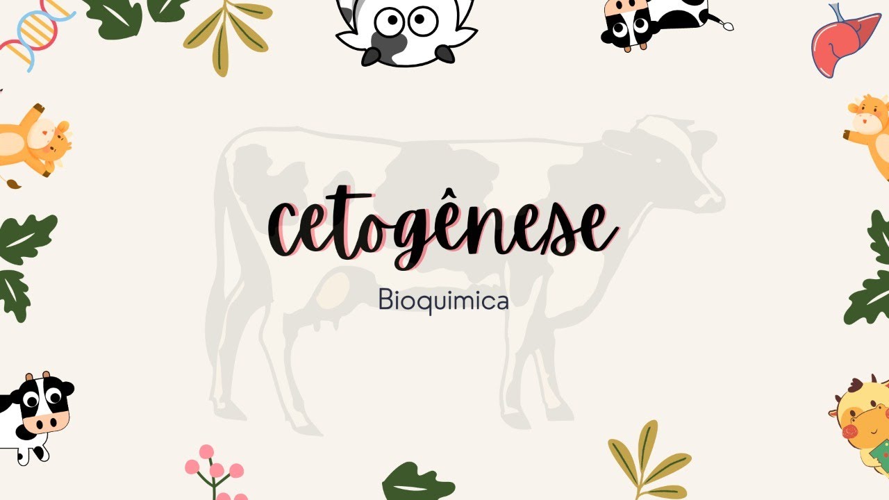 Grupo 02 - Cetose, cetogênese e suas consequências