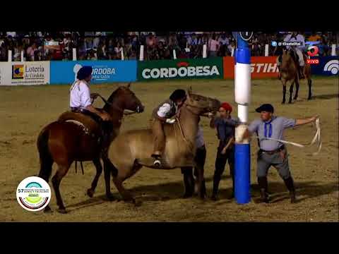 Gran Jineteada de BRUNO MOYANO en la 6ta noche del 57° Festival de Doma y Folklore Jesús María 2023