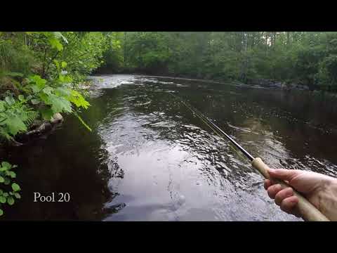 Three minutes over river Morrum