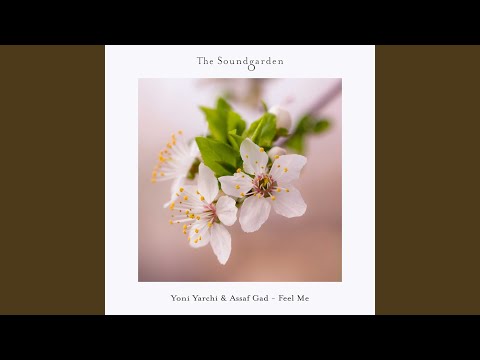 Feel Me (Extended Vocal Mix)