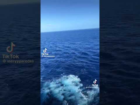 The sea at night is truly scary 😨 #ocean #scary #shorts