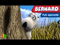 Bernard Bear 04 The Swing Full Episode
