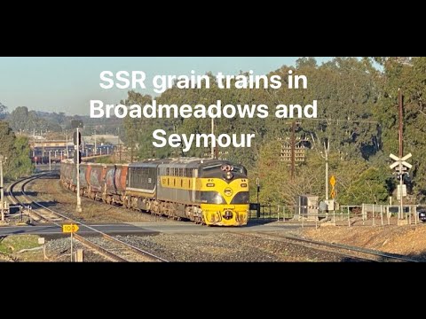 SSR grain trains in Broadmeadows and Seymour 18/5/20