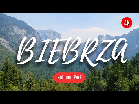Biebrza National Park: Preserving Europe’s Wild Gem | Poland’s Untamed Wilderness