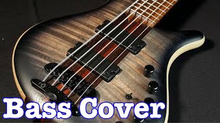 Yesterday&#39;s Hero - John Paul Young - Bass cover