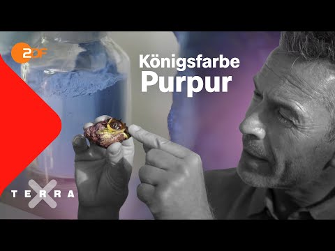 Purpur – Die Farbe der Macht | Terra X