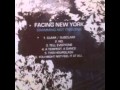 Facing New York - You Might Not Feel It At All