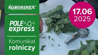Efekty po zastosowaniu Rhizosum N plus | Komunikat Rolniczy
