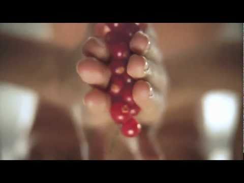 download lagu mp3 mp4 Passion Fruit Advertising, download lagu Passion Fruit Advertising gratis, unduh video klip Passion Fruit Advertising