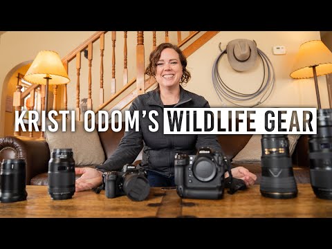 Kristi Odom’s Wildlife Photography Gear