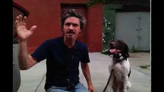 Neurotic Behaviors in dogs, Tail spining,Water Biter, False digging....Peter Caine dog training