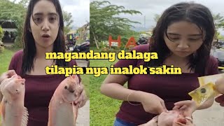 Download lagu Magandang dalaga inalok ako ng tilapia nya mp3
