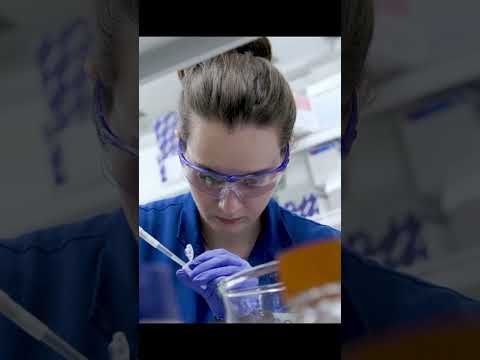 BSA3D AS_Group11_AGRI47 Informational Video Advertisement