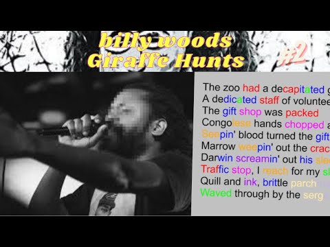 billy woods on Giraffe Hunts | Rhyme Scheme Highlighted #2