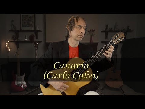 Canario by Carlo Calvi