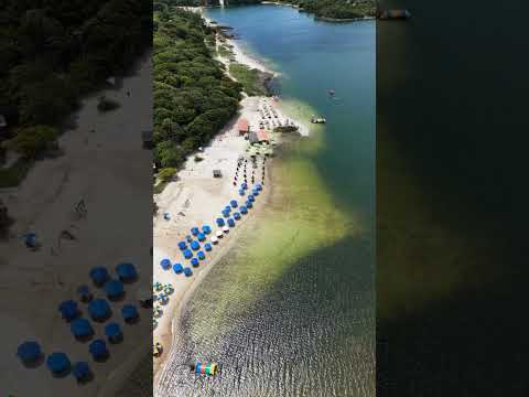 Lagoa de Alcaçuz - Nísia Floresta - RN #riograndedonorte #natureza #praiasdonordeste