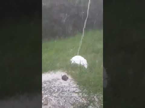 Granizo en Villa Giardino, Córdoba. 28/09/2026