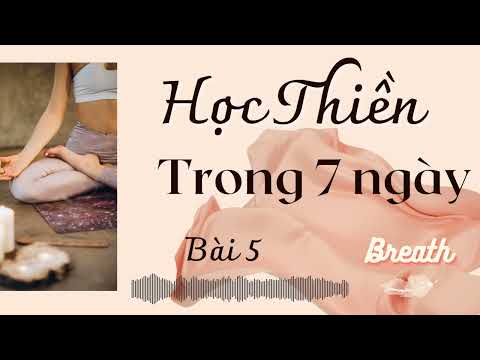 Hướng dẫn thiền cho người mới bắt đầu - Bài 5 - Nuôi dưỡng sự tập trung