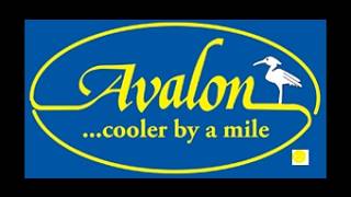AvalonNJBeachCam Live Stream live webcam