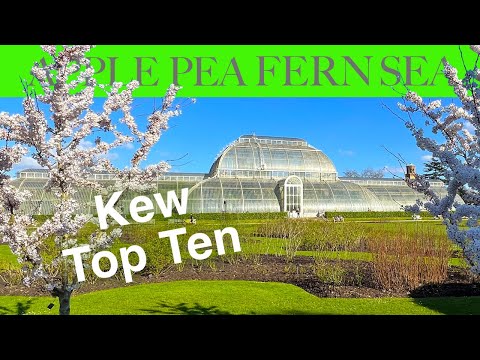 Top Ten Attractions at Kew Gardens, March Edit
