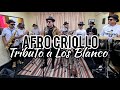 Afro Criollo - Los Blanco Mix (Tributo) Volando, Que Muchacho, Las Avispas, La Mula Baya..