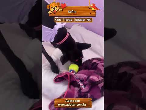 Vídeo de Safira