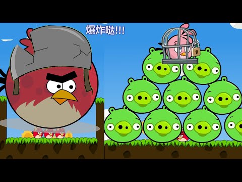 Angry Birds Cannon 3 - GIANT TERENCE KICK OUT ALL SMALL PIGGIES TO RESCUE STELLA WALKTHROUGH!