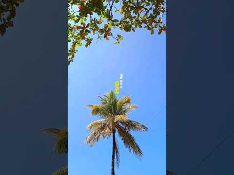 Still frames with lil movements 🫠 #beach #bangalorevibes #travellingalone #ombeach