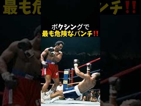 ボクシングで最も危険なパンチ #ボクシング #格闘技 #rizin #ufc