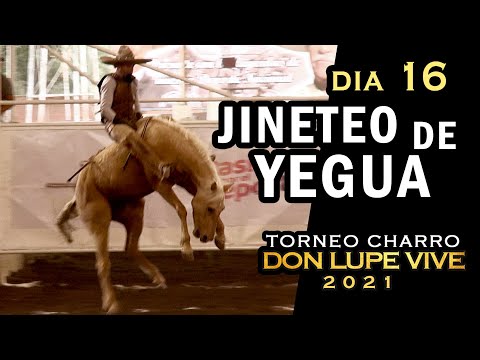 MARE RIDING day 16 - Don Lupe Vive Tournament 2021