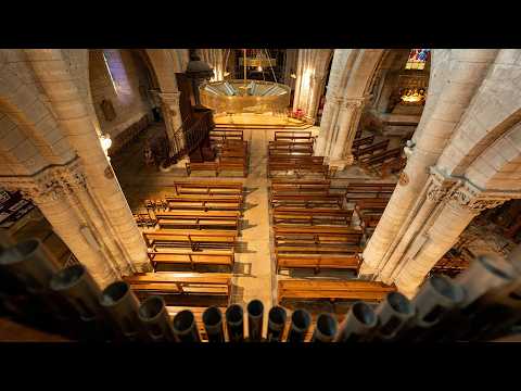 Reportage à Amboise 9