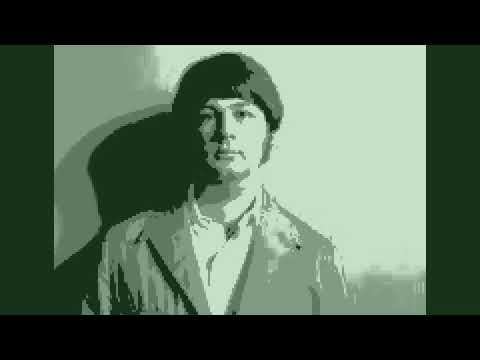 Love and Mercy - Brian Wilson Live