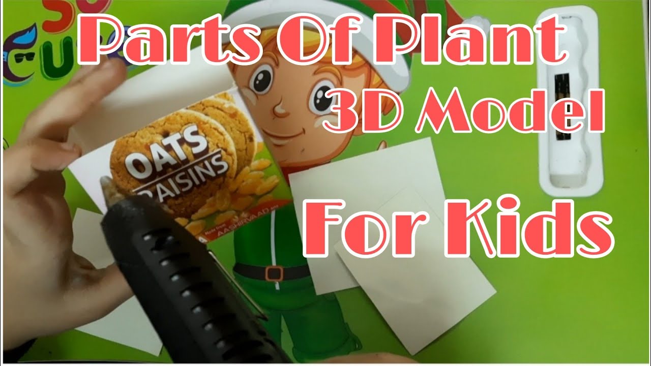 Parts Of Plant 3D Model For Kids || 3D Model Of Plant || Science Project