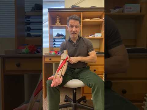 Biceps Tendonitis Treatment - Fascial Release of the Pronator Teres Muscle