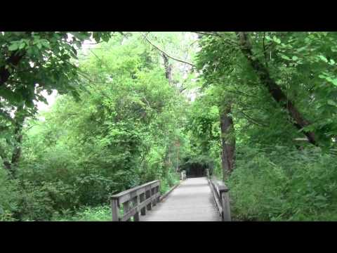 Charles River Greenways Watertown MA Part 4.